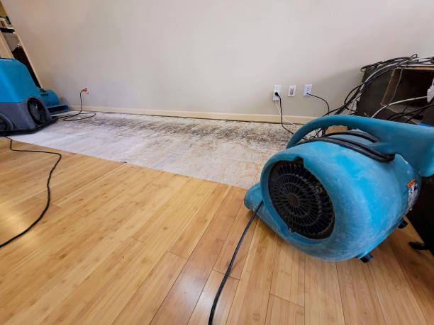 Professional Structural Drying technician working in Byron, GA
